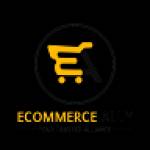 Ecommerce Ally Profile Picture