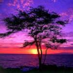 Карина Б Profile Picture