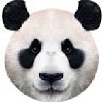 Степан Козлов Profile Picture