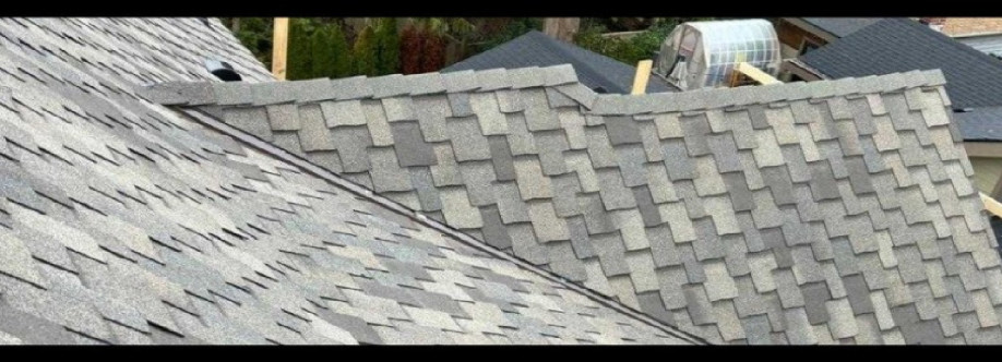 Anytime Roofing Cover Image