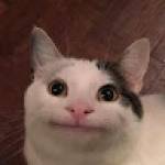 wexout Profile Picture