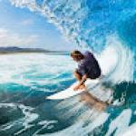 Дмитрий Гоголев Profile Picture